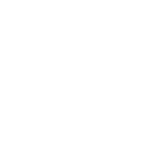 Logo Bushcat Africa
